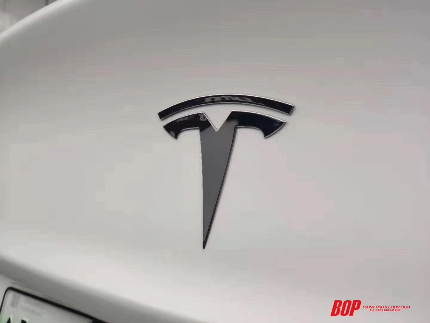 1547794963108009.jpg 17.jpg